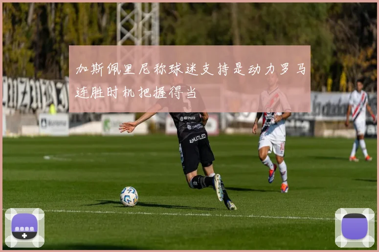 加斯佩里尼称球迷支持是动力罗马连胜时机把握得当