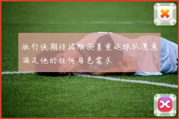 独行侠期待诺维茨基重返球队愿意满足他的任何角色需求