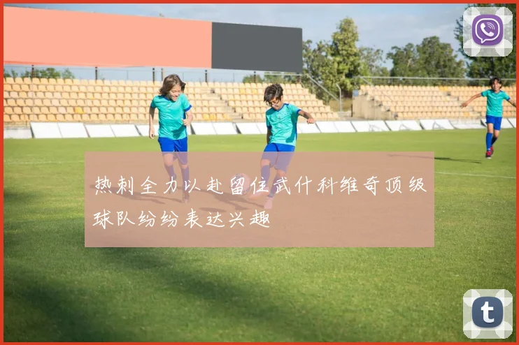 热刺全力以赴留住武什科维奇顶级球队纷纷表达兴趣