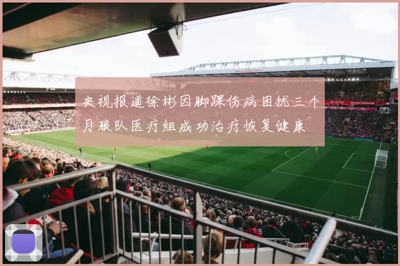 央视报道徐彬因脚踝伤病困扰三个月狼队医疗组成功治疗恢复健康