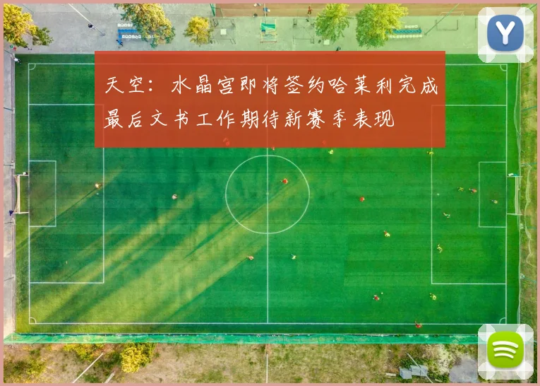 天空：水晶宫即将签约哈莱利完成最后文书工作期待新赛季表现